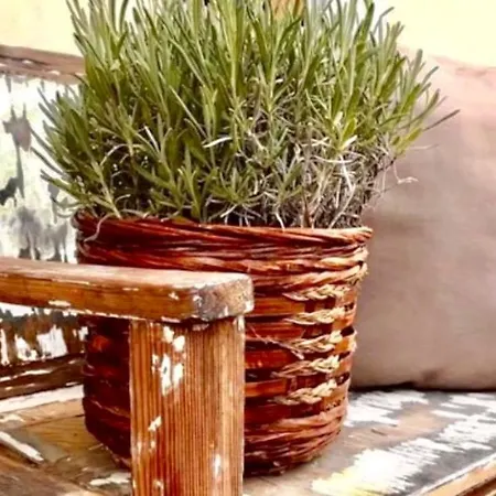 بيت ضيافة Hencz Vendeghaz